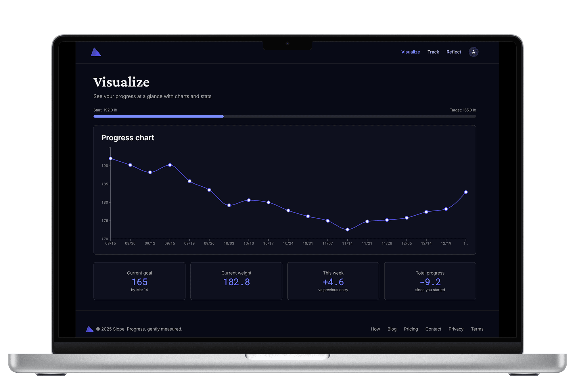 Slope dashboard with weight visualization