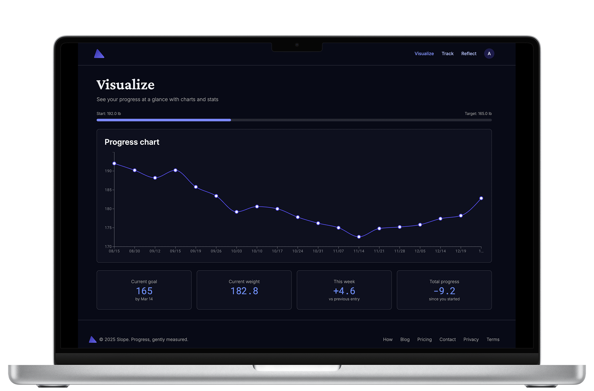 Slope dashboard with weight visualization
